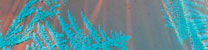 Optical Ice Sensors for Wind Turbine Nacelles