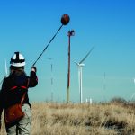 How Two of the South’s Most Beloved Eagles Are Making Turbines Safer for All Birds