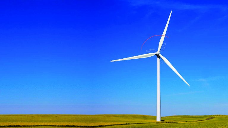 New tech grows from tiny seed New tech grows from tiny seed