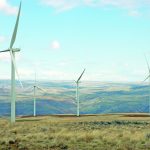 Demand for wind drives record year
