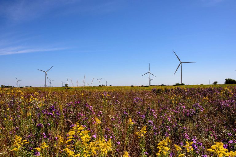 NRG’s Bat Deterrent System reduces bat fatalities by 67 percent