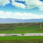Ingeteam reaches 50 GW installed wind capacity milestone