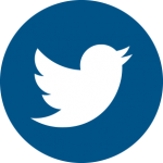 Twitter icon blue