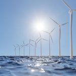 On offshore wind farms, seafood production may be a breeze