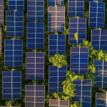 Exus Renewables acquires Spain wind farm