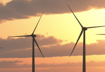 Codling Wind, Dublin university to research marine biodiversity