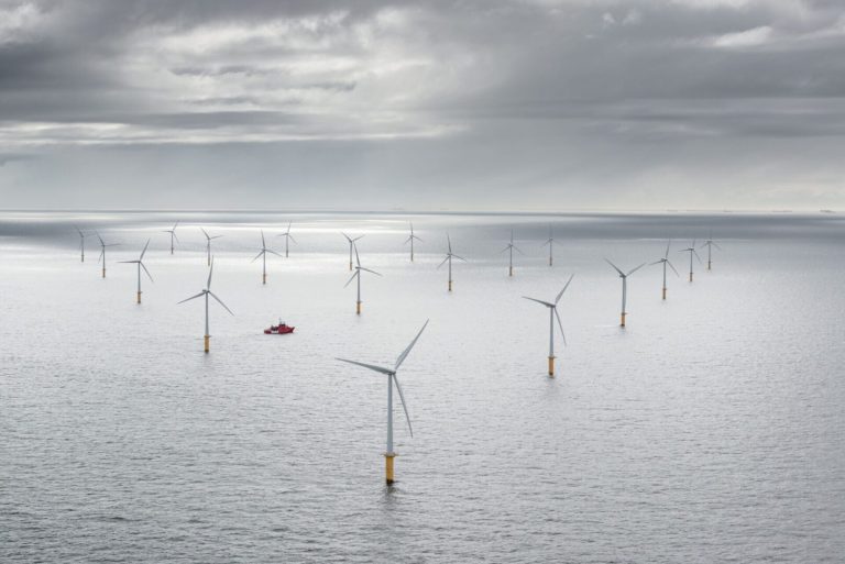 Shoreline Wind: AI in Europe wind sector is clear way forward