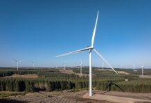 Combining sustainable growth and performance