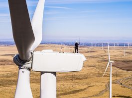 Providing advanced asset protection