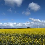 FairWind awarded Australia onshore wind-farm contract