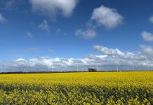 FairWind awarded Australia onshore wind-farm contract