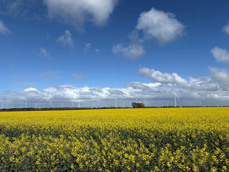 FairWind awarded Australia onshore wind-farm contract