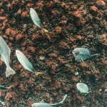 Venterra’s INSPIRE Environmental expands into Scotland