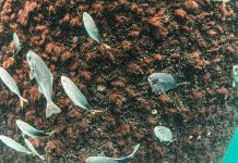 Venterra’s INSPIRE Environmental expands into Scotland