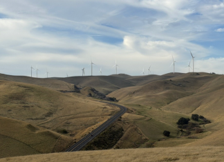 DWT completes Buena Vista Wind Farm refurbishment